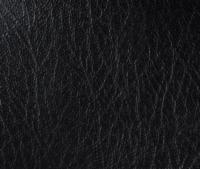 Lexus Sta-Kleen Black Fabric