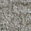 Anchor SofTouch with Stain Defense
